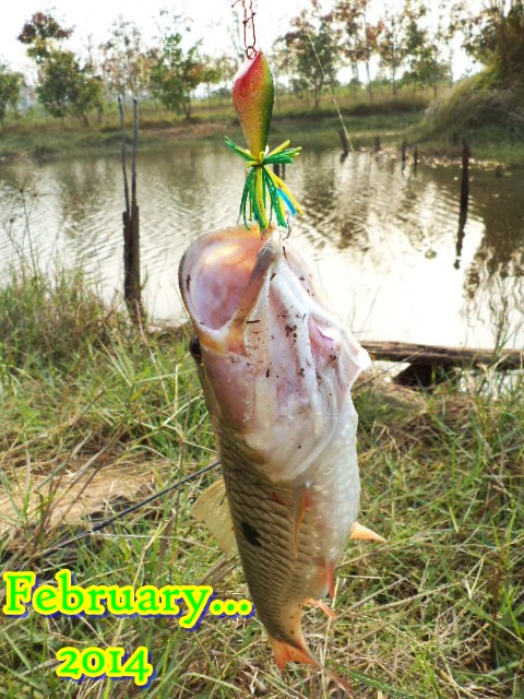 **...หมายไม่เคยไป มันต้องลุย ...**