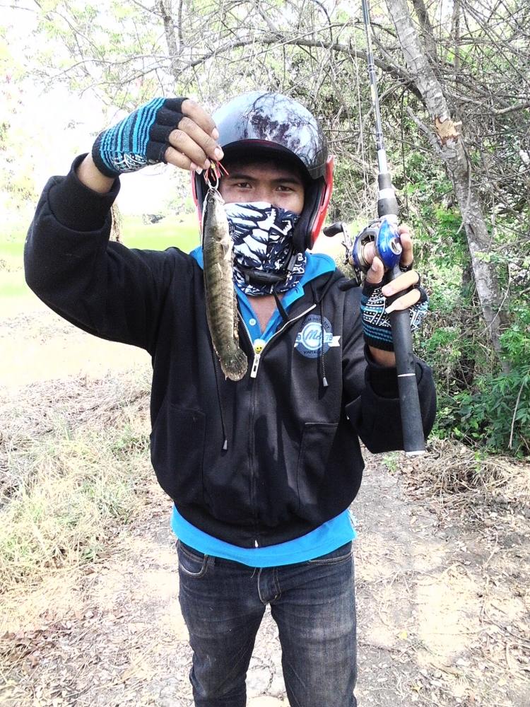ริมมูลโคราช มีแต่ป๊อกๆ