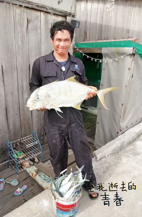 เรือเล็กควรออกจากฝั่ง..ตอน..ล่าตักเต๋า...กะไต๋เก๋แสมสารครับ.