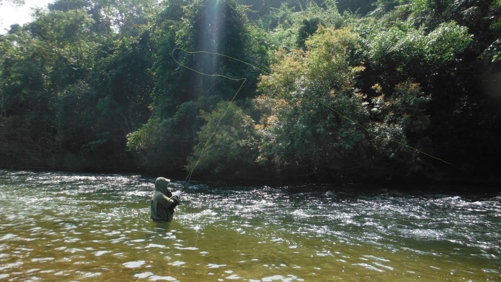 Fly fishing in Thailand  by  !!!...Cast...AWAY...!!! fly team.