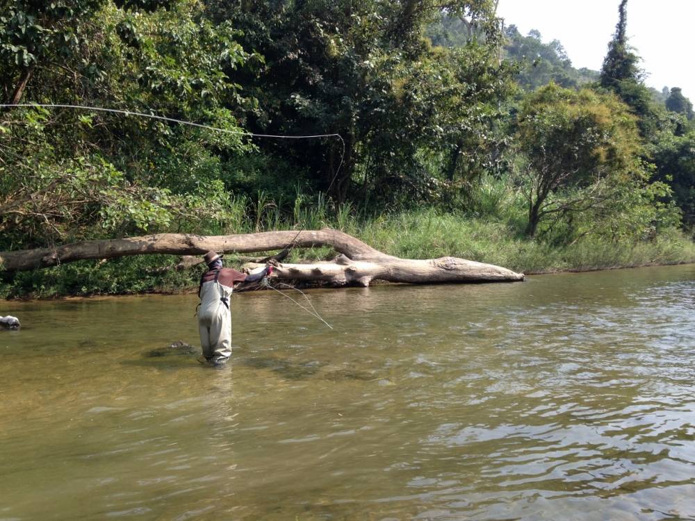 Fly fishing in Thailand  by  !!!...Cast...AWAY...!!! fly team.