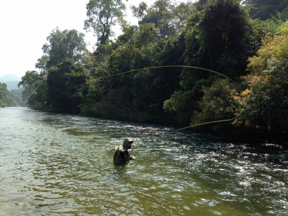 Fly fishing in Thailand  by  !!!...Cast...AWAY...!!! fly team.