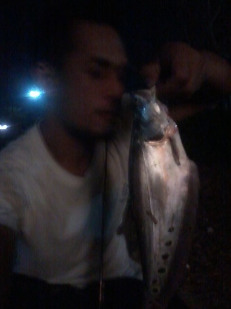 night fishing