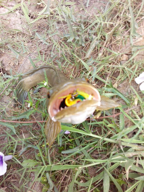 วันว่างๆๆ