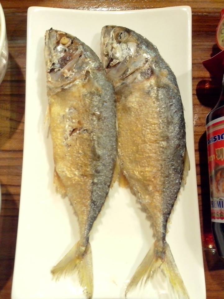 <<< pfishing >>> แน๊ะนำสูตรง่ายๆทานคนเดียวอิ่มกับ "ปลาทูนึ่งทอดราดพริกแห้ง"
