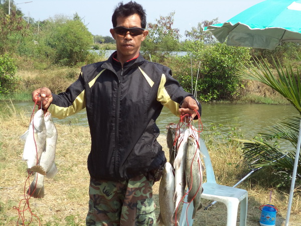 ผลงาน บ่อตกปลาน้องพลอย 2  วันที่ 23-2-57