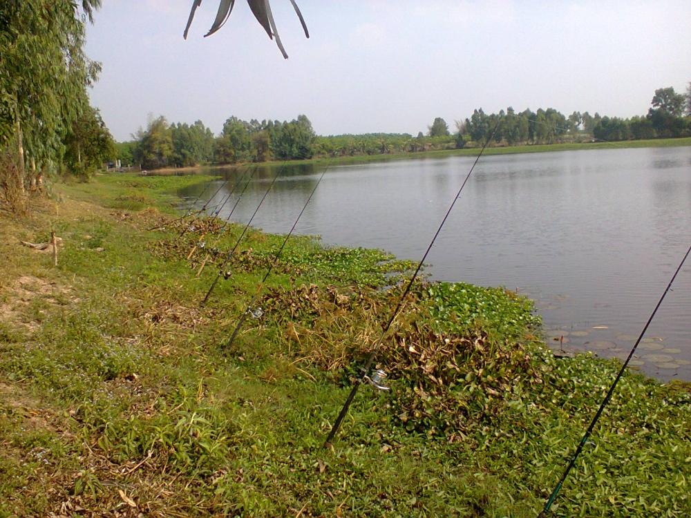 หมายสวยๆ กับเรือแจวข้ามหน้าข้ามตา