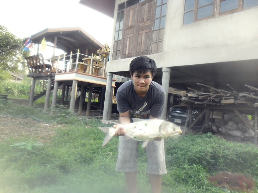 รวมมิตร สกิดตะลิ่ง