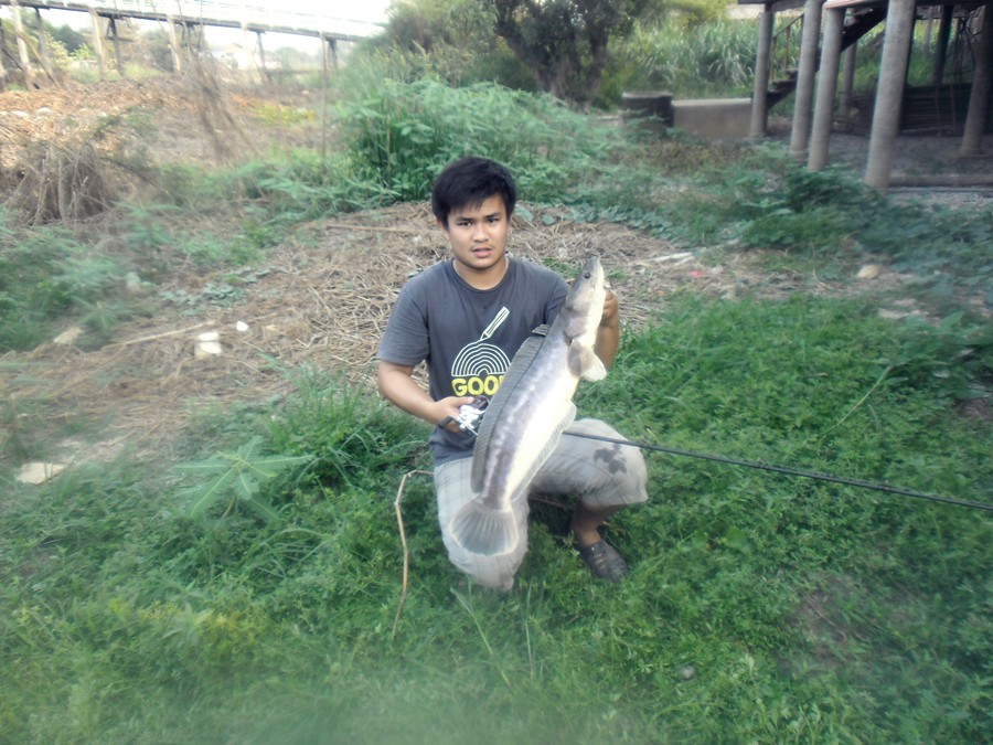 รวมมิตร สกิดตะลิ่ง