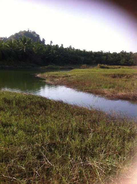 หมายนี้อยากไปมานาน เหนือสุดอ่างเก็บน้ำห้วยน้ำเขียว จ.กระบี่ 