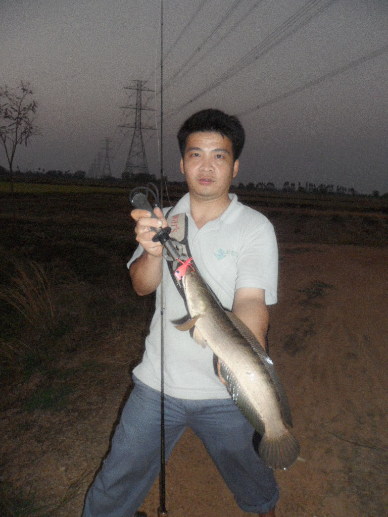 นานๆ มาที