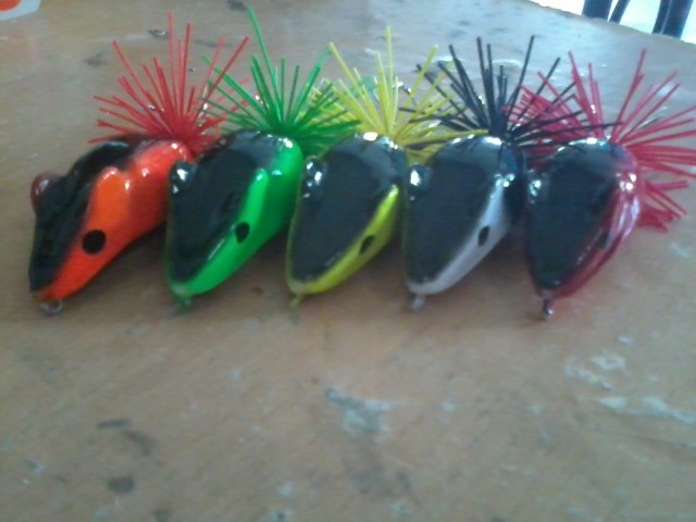 หนู NJ Lure 