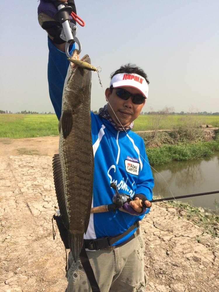 Chronarch Ci4+ hot อีกแล้ว