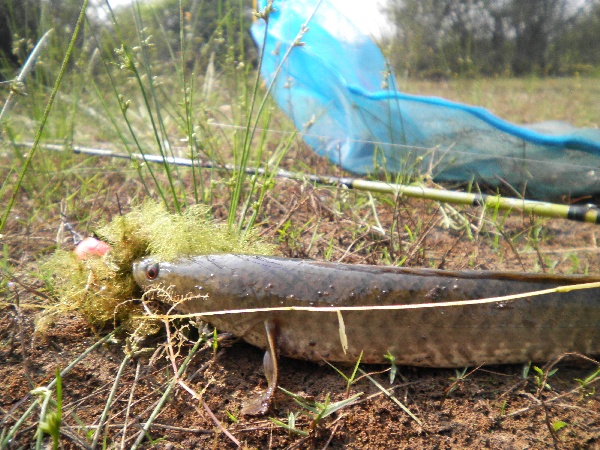 เทสเหยื่อใหม่ พอหอมปากหอมคอ