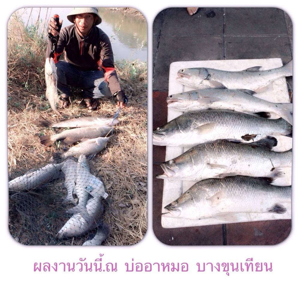 สบายๆวันหยุดที่บ่ออาหมอเทียนทะเล