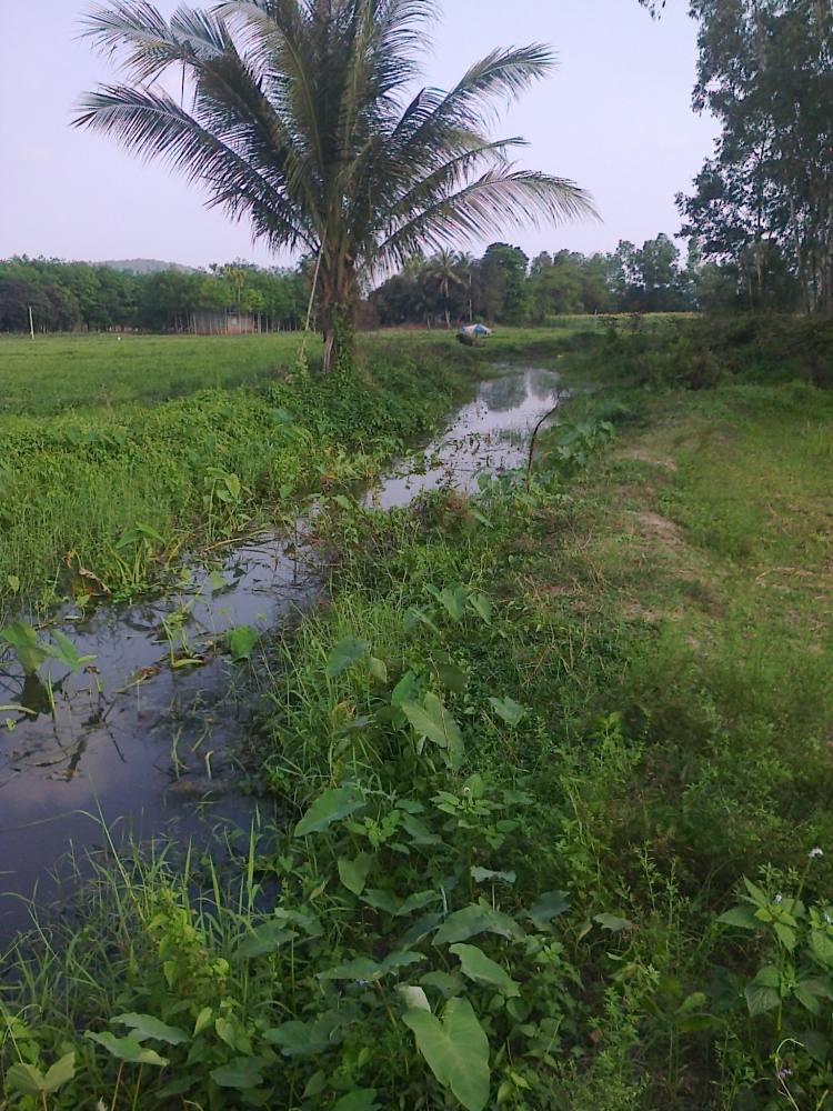 เลาะชายคลองตีเหยื่อปลอมล่าช่อน