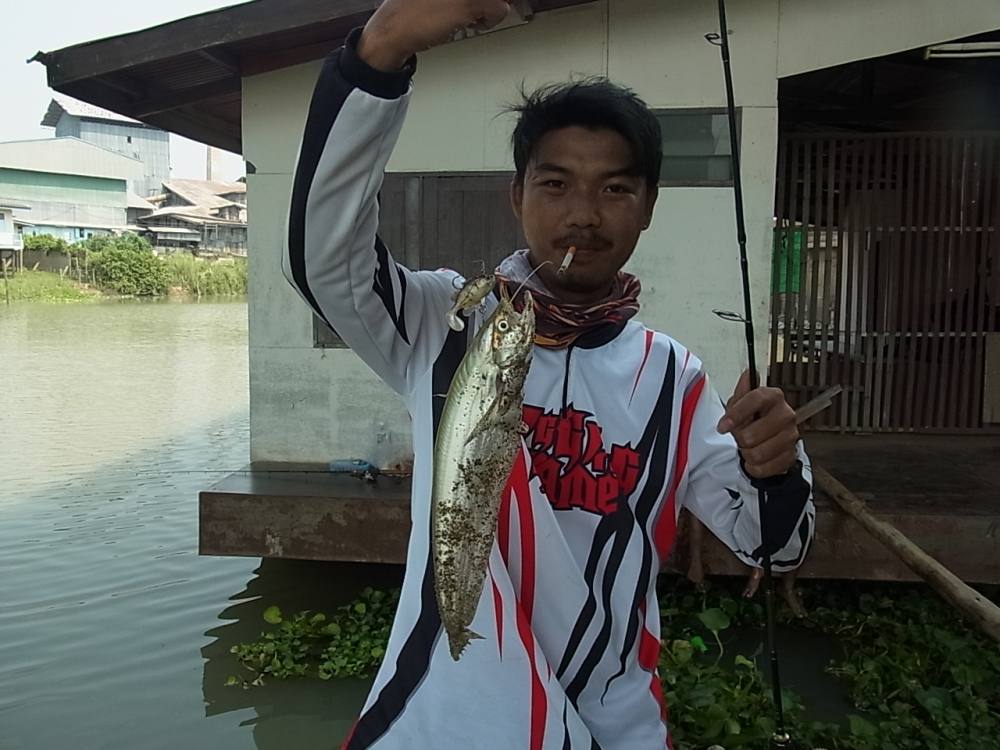 ลองส่งครั๊งแรกครับกับหมายแถวอยุธยา