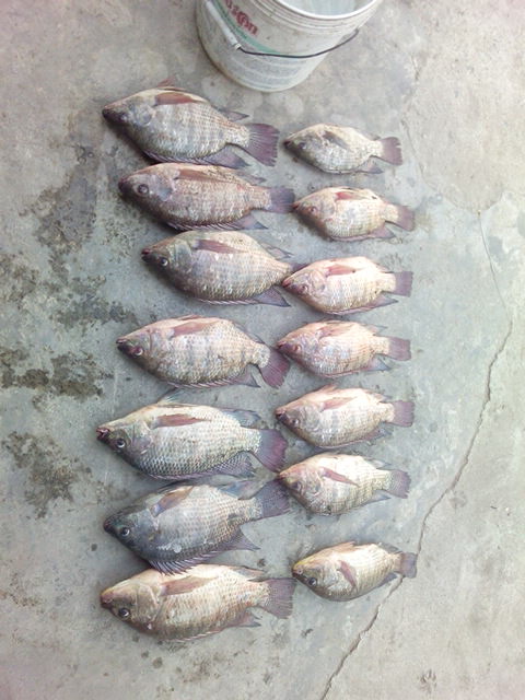 หน้าดินกะเค้ามั่ง