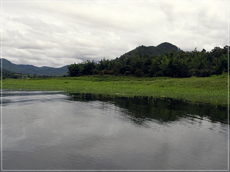 แพตกปลาธรรมชาติ( ทะเลสาปเหนือเขื่อนศรีนครินทร์ )