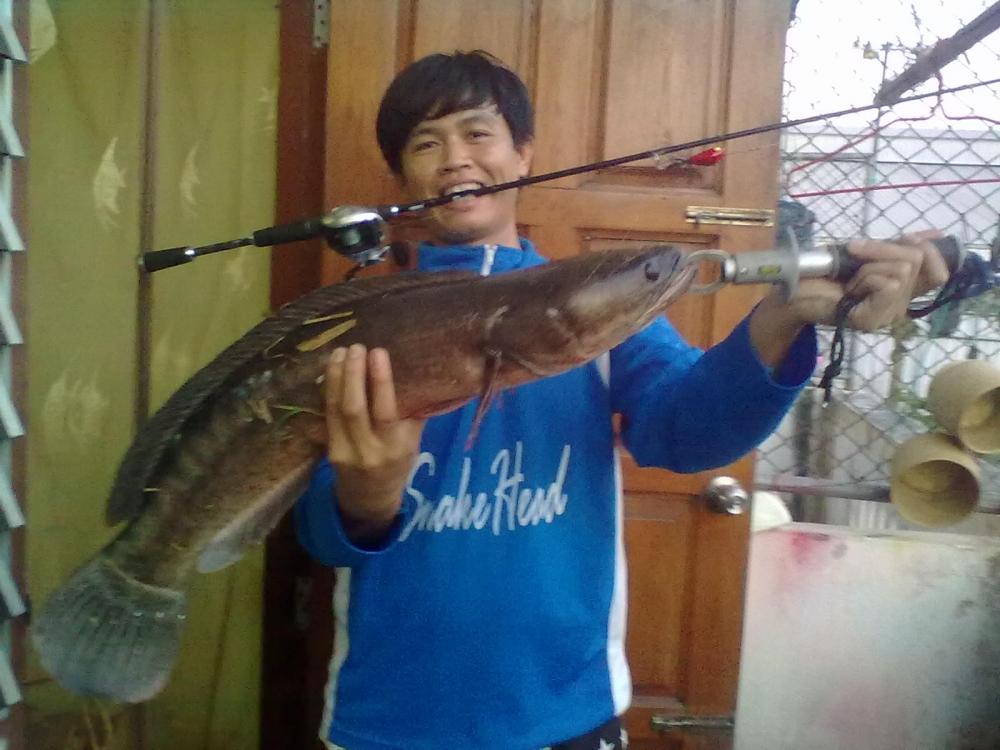 ฝากติดตามกลุ่มเราด้วยนะคับ Snakehead Angler Club.