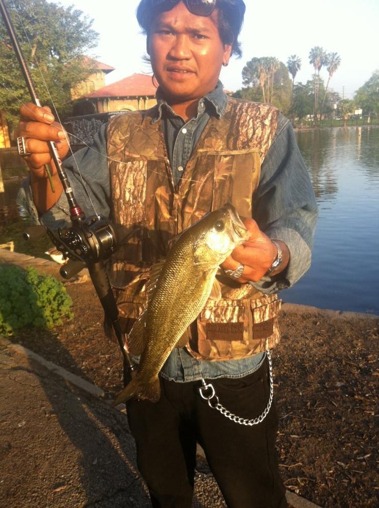 Bass in Lincoln park lake USA