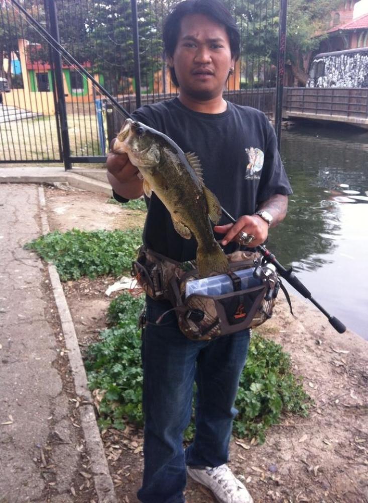 Bass in Lincoln park lake USA