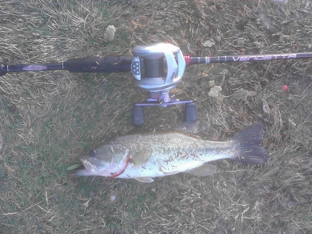 Bass in Lincoln park lake USA