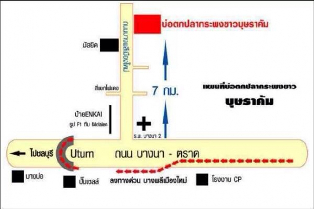 งานแข่งขัน KING OF FROG , KING OF TEXAS วันที่ 9 มีนาคม 2557