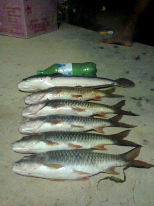 เรือนำตกปลา หมายธรรมชาติ กับพรานแม่น้ำจืด