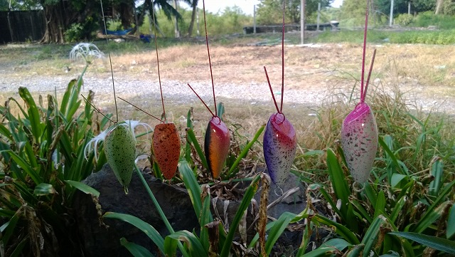 ลายจุด....