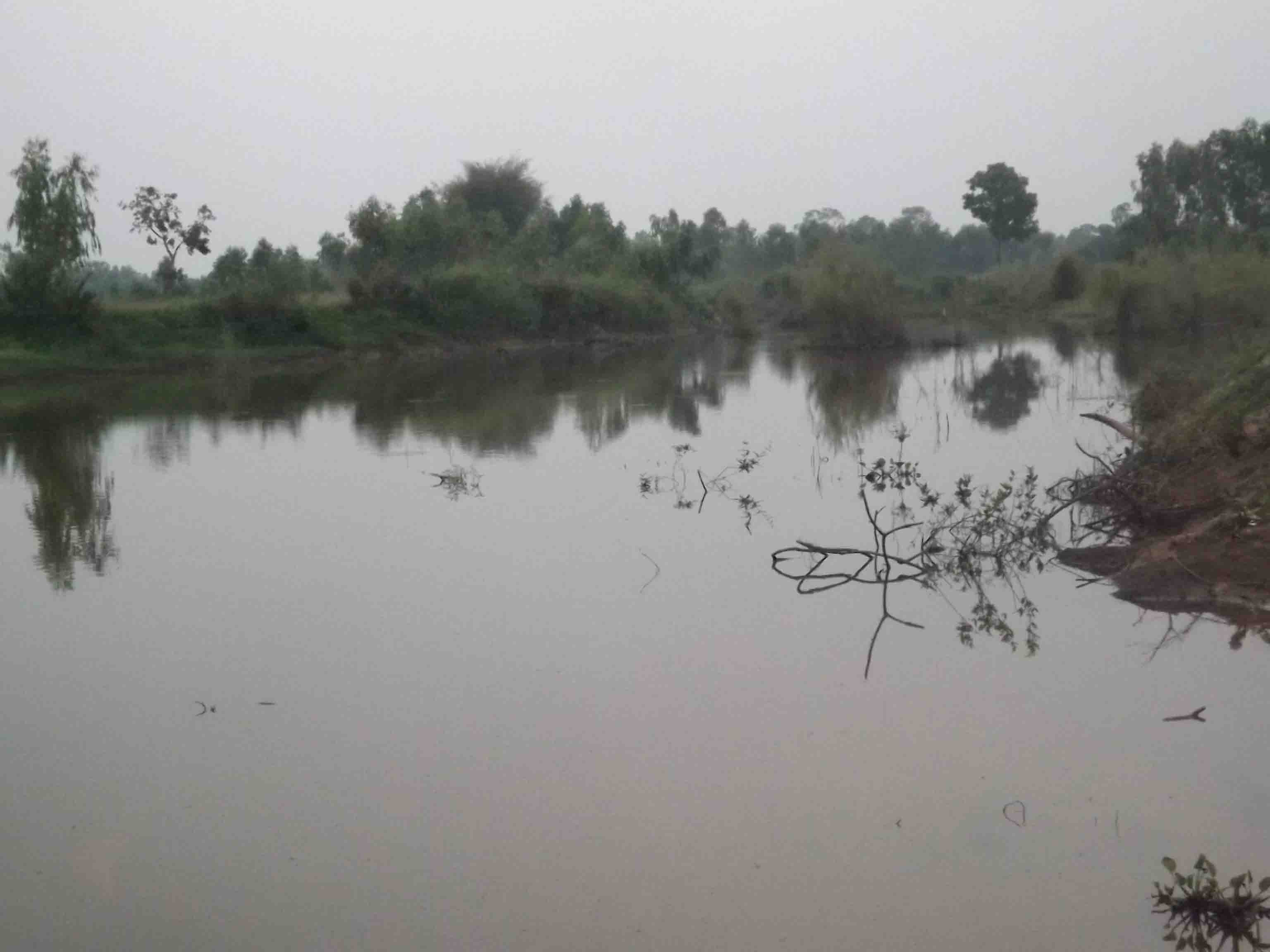 ..สุสาน....หอย....