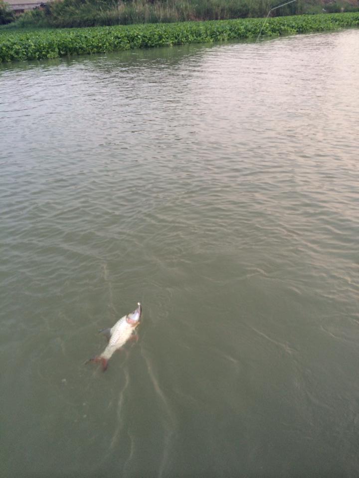 ไปโดนมาแล้วว กับ pointer78
