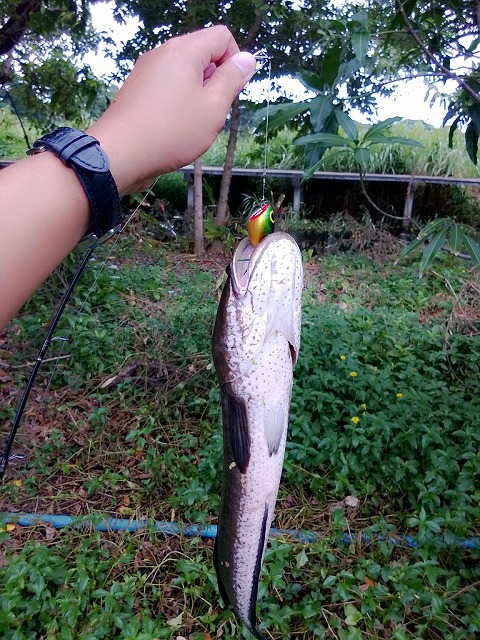 เห็นอะไรในภาพไม...