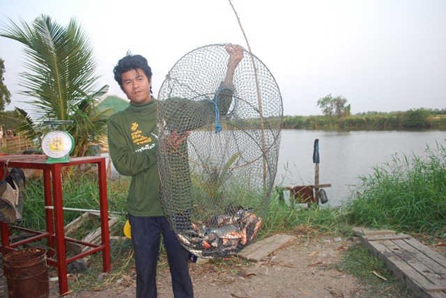 บ่อตกปลาหนุ่มบางวัว (บ่อปลารวม) วันที่ 8 - 03 - 57