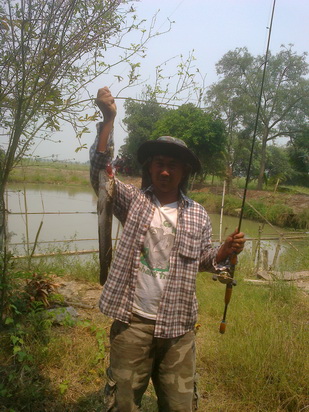 ***MODERN LURE***ปลาช่อนนา***