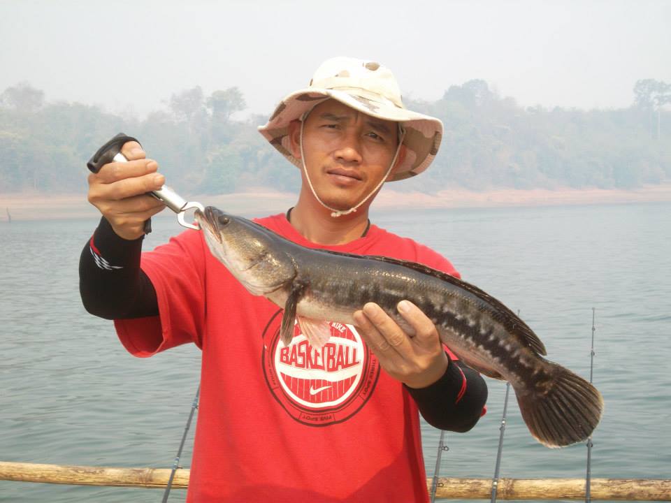 เขาแหลม