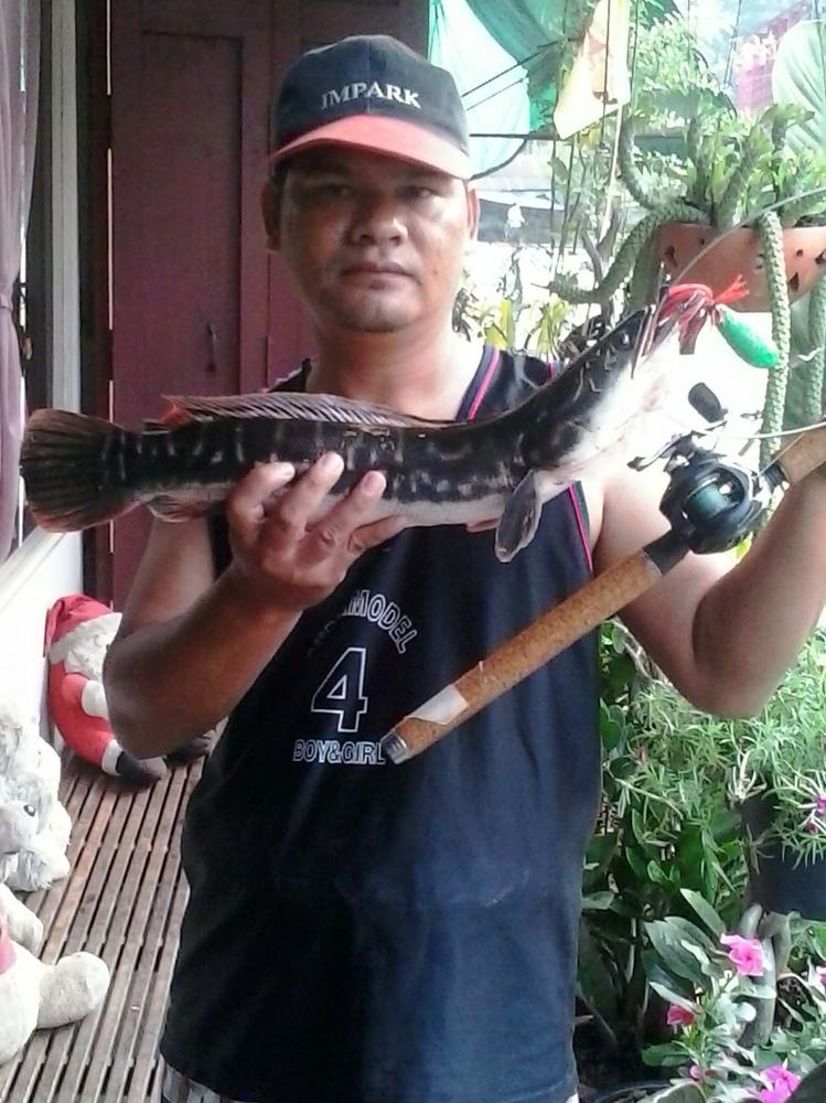 เขียวมรกตทํางานอีกแล้ว