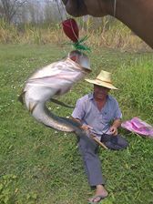 ผลงานกบกระโดดYAN PASAK กับ กบยางหนุ่มคุง คร๊าบบบๆๆๆ