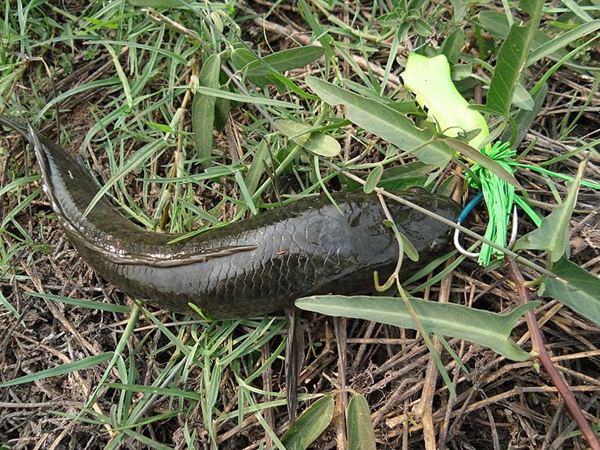 วันว่างๆ กับเหยื่อ SLOT (Danger lure team) 