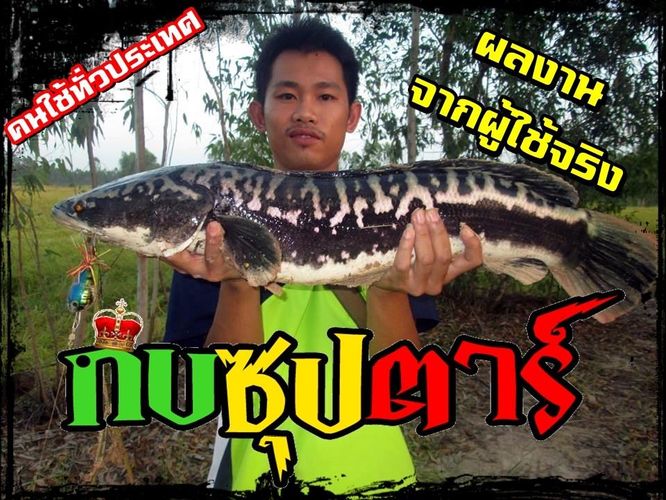 ++++ โคตะระบิดาชะโด++++