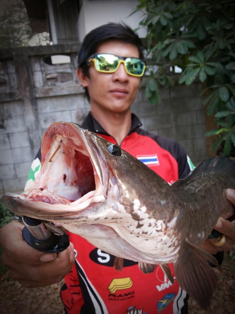 PASAK