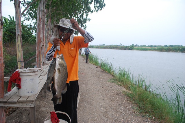 บ่อตกปลาหนุ่มบางวัว (บ่อปลารวม) วันที่ 15,16 - 03 - 57