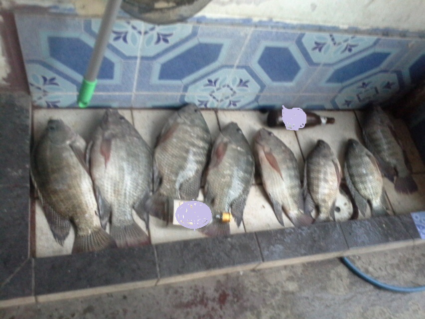 สอบถามหมายที่อ่างเก็บน้ำหนองกลางดง