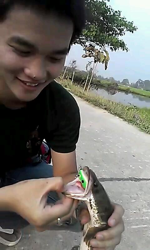 หมายคลองชล