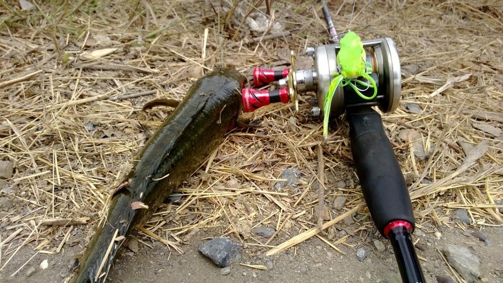 Finesse Fishing สไตล์ Rubber Frog 
