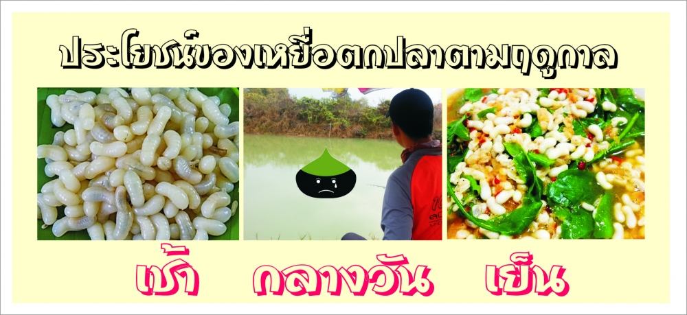 ใครเคยเจอปัญหาแบบนี้บ้างครับ