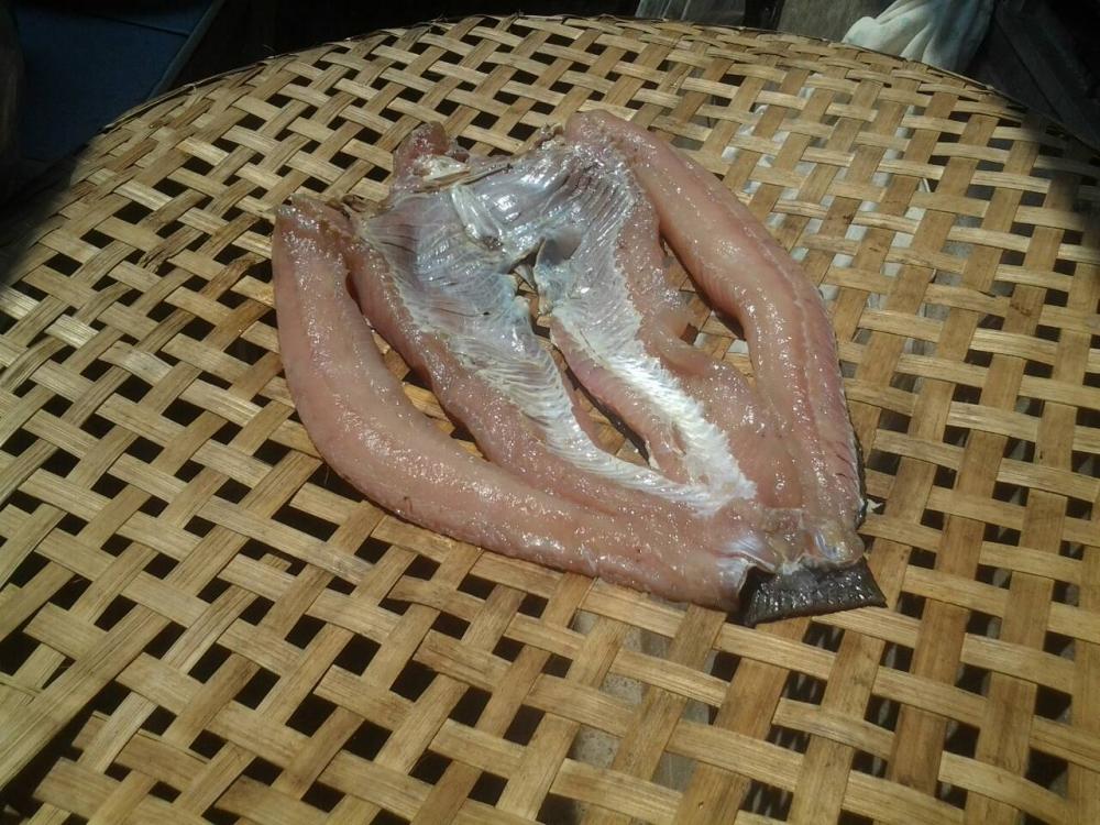 ซุปเปอร์ช่อนแดดเดียว