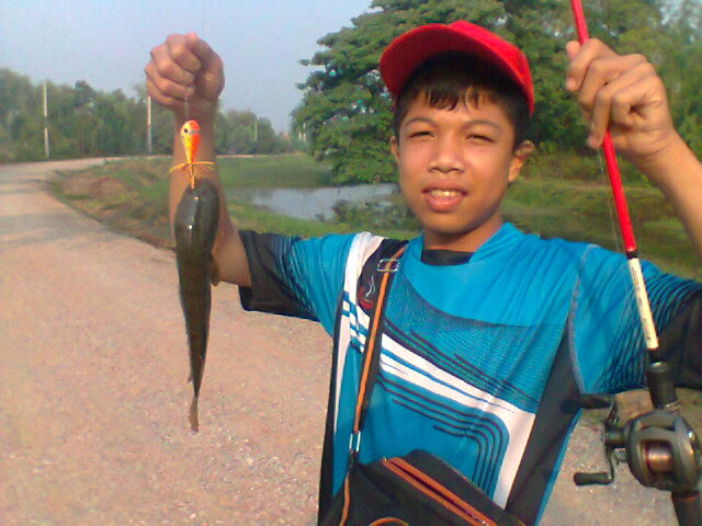 หมายอำเภอโกสุมพิสัย