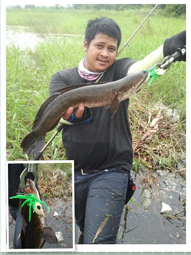 ความมันต่อเนื่องของโปรเอ็ม