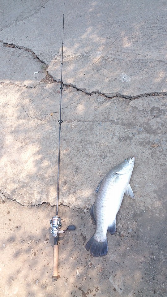 เทสชุด light Tackle @JJ ประชาอุทิศ